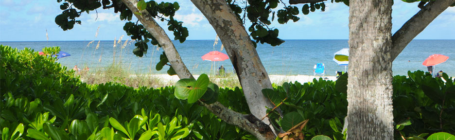 View of Gulf Beach and Umbrellas through beach vegetation.