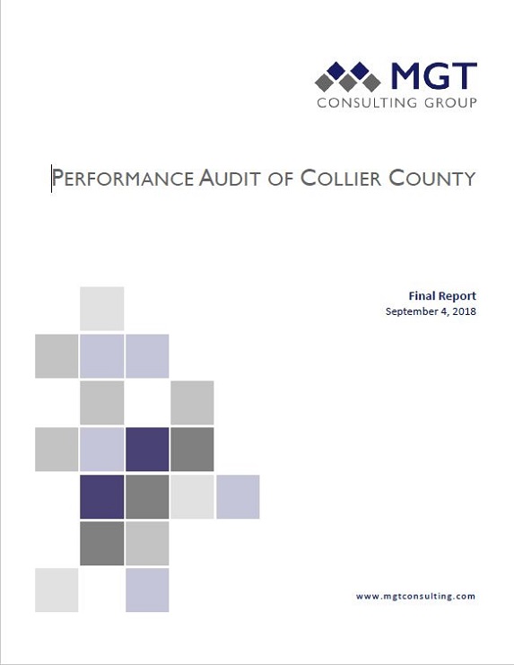 Performance Audit Final Report - One-Cent Sales Surtax
