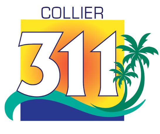 Tiny 311 Logo